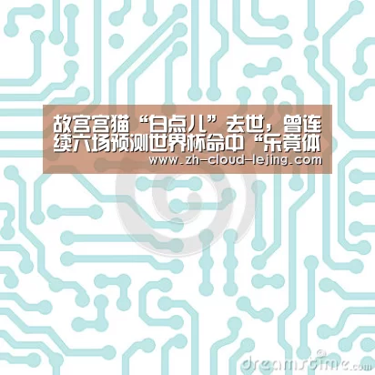 故宫宫猫“白点儿”去世,曾连续六场预测世界杯命中“乐竟体育官方”(图4) 乐竟体育官方