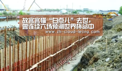 故宫宫猫“白点儿”去世,曾连续六场预测世界杯命中“乐竟体育官方”(图1) 乐竟体育app