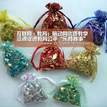 互联网+教育:脑动网优质教学资源促进教育公平“乐竟赛事”(图1) 乐竟体育app