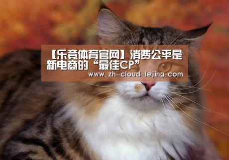 【乐竟体育官网】消费公平是新电商的“最佳CP”(图1) 乐竟赛事